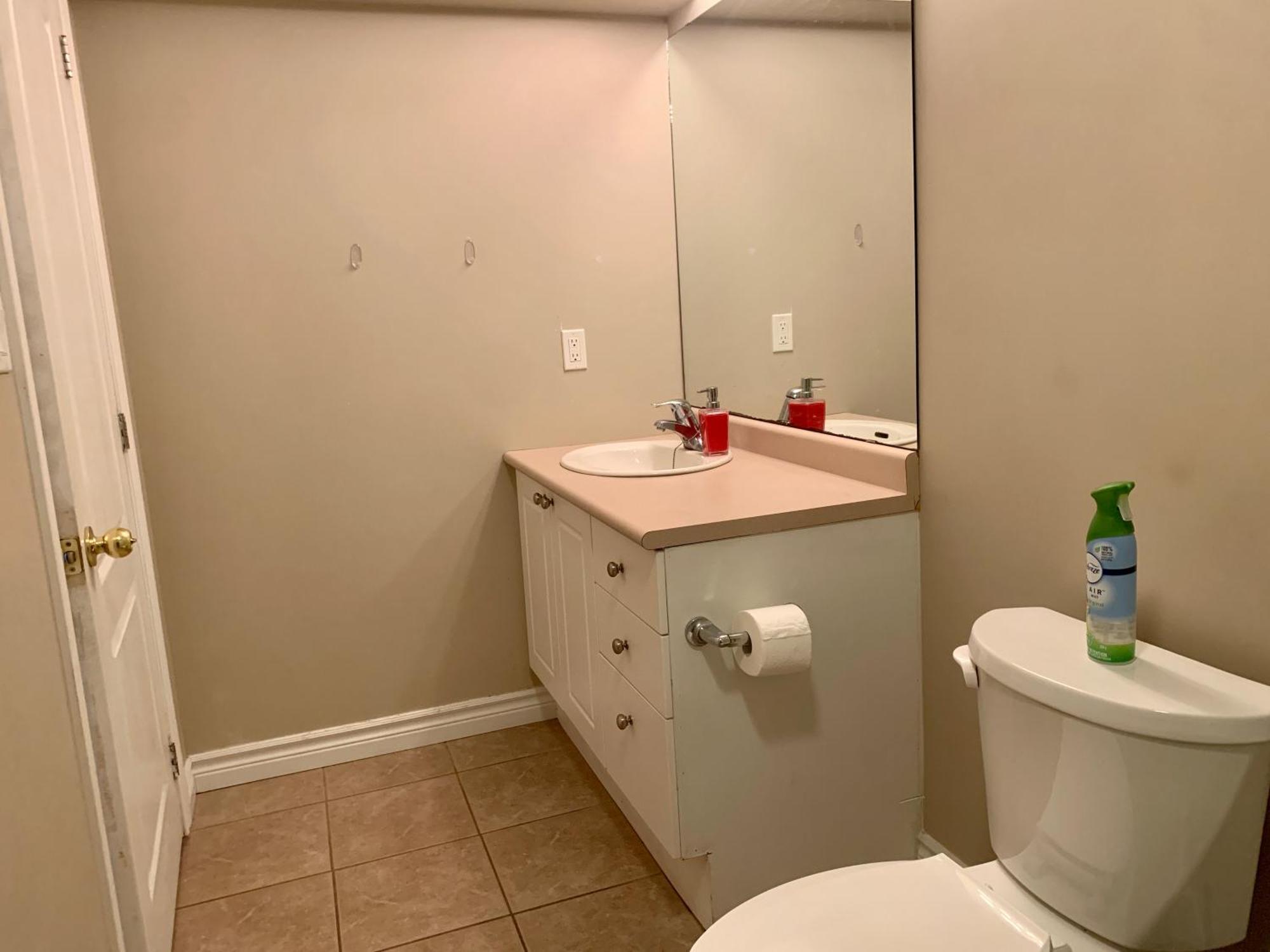 1 Room In A Cozy And Beautiful Basement Гвелф Екстер'єр фото